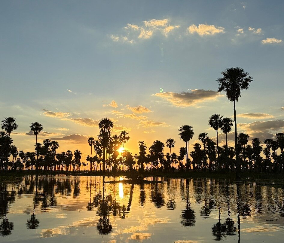 Bañado La Estrella-Las Lomitas必去景点