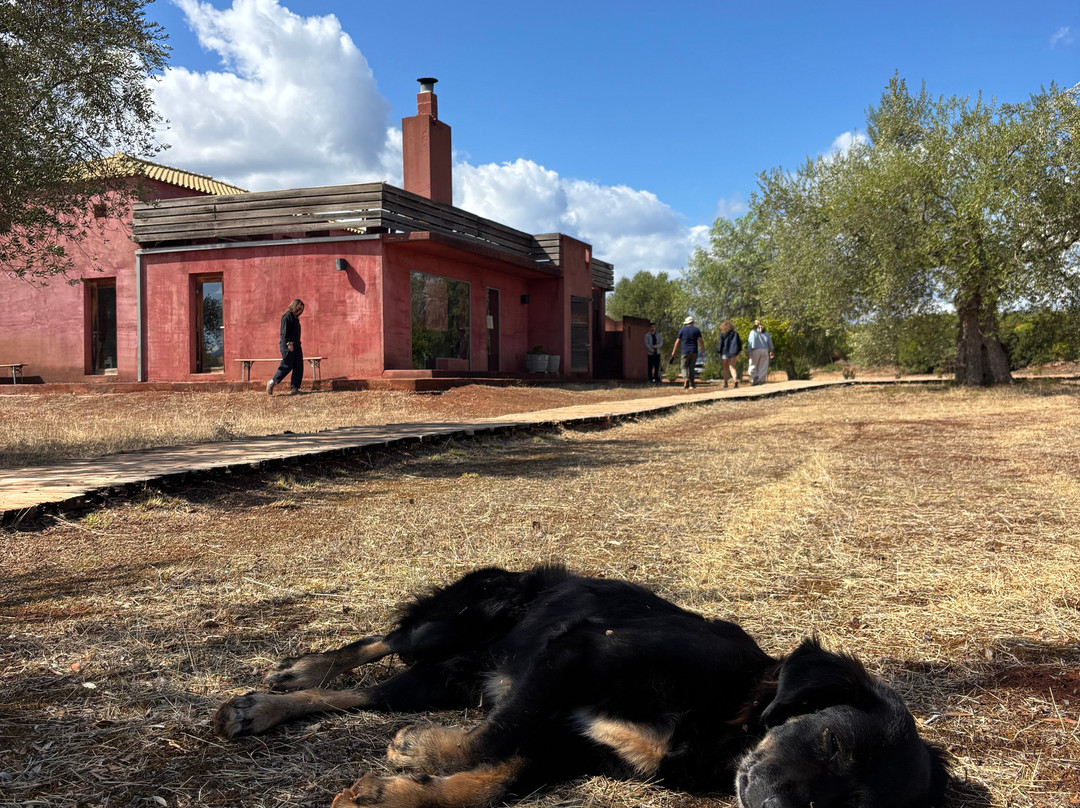 Eumelia Organic Agrotourism Farm主图