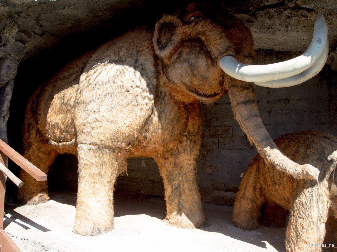 Parque dos Elefantes-坎普斯－杜若尔当必去景点