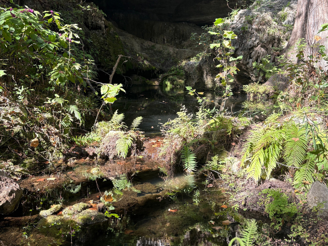Westcave Outdoor Discovery Center-奥斯丁必去景点