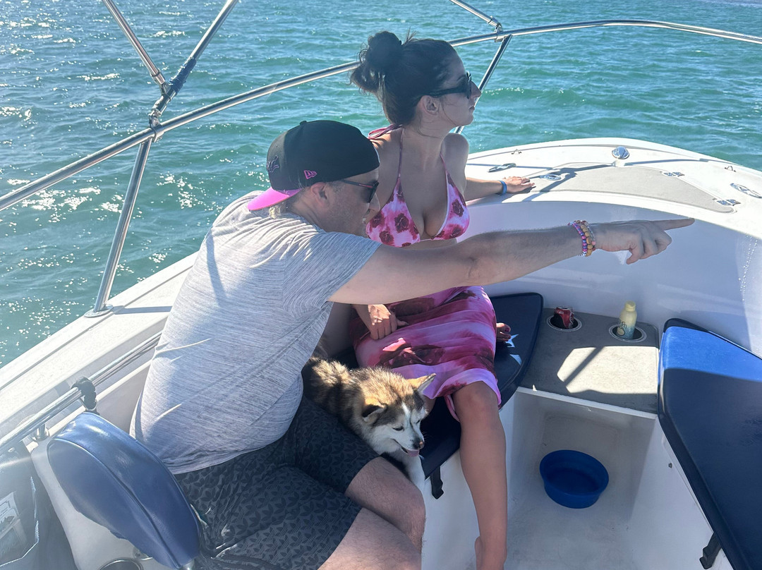 Wild About Dolphins-基韦斯特必去景点