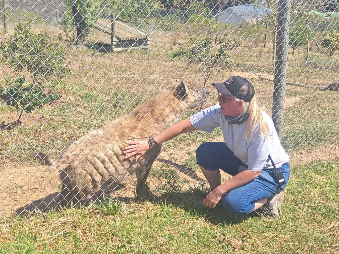 Cornell Skop-Botrivier必去景点