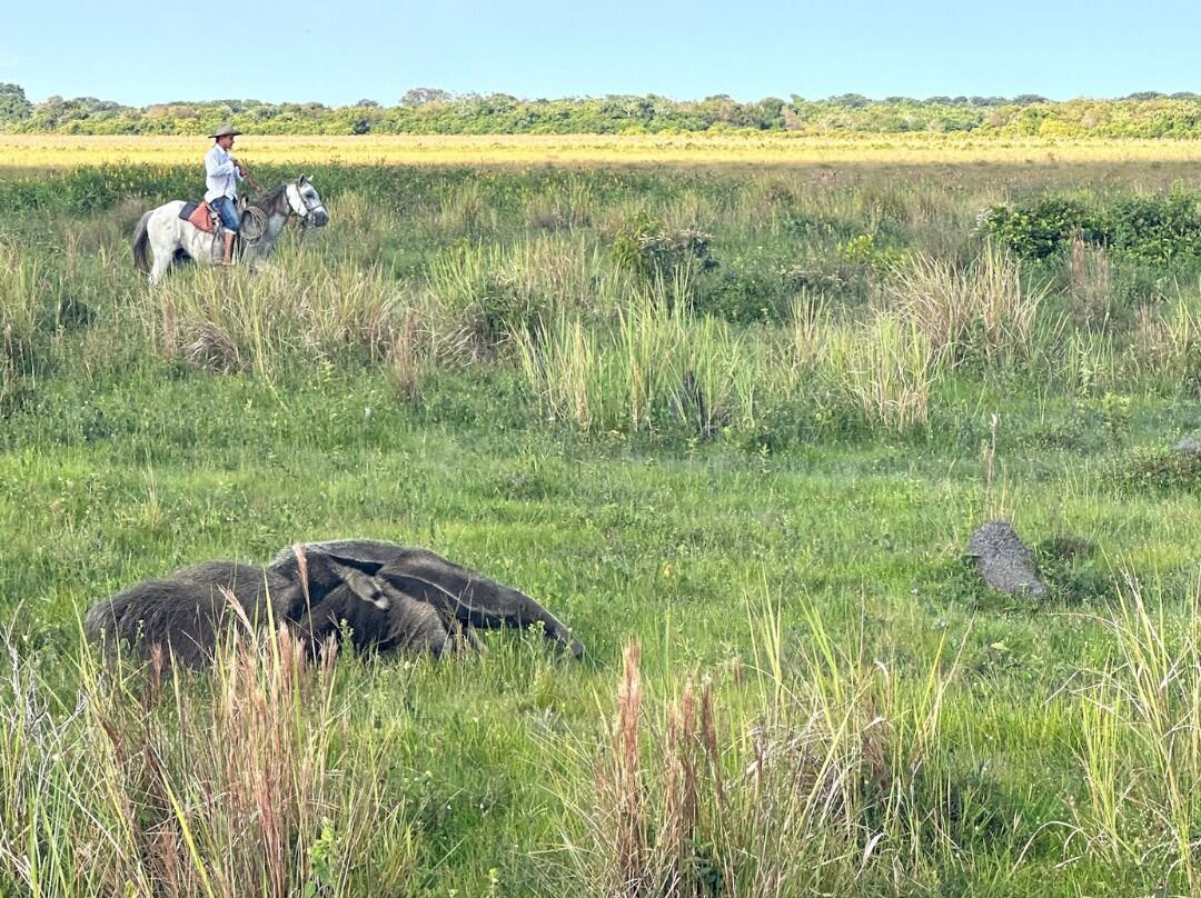 Reserva Natural Hato El Boral-San Luis de Palenque必去景点