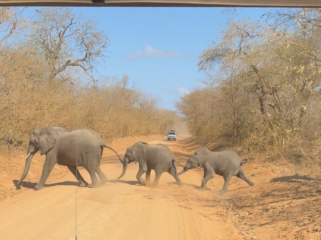 Nyerere National Park-Lindi Region必去景点