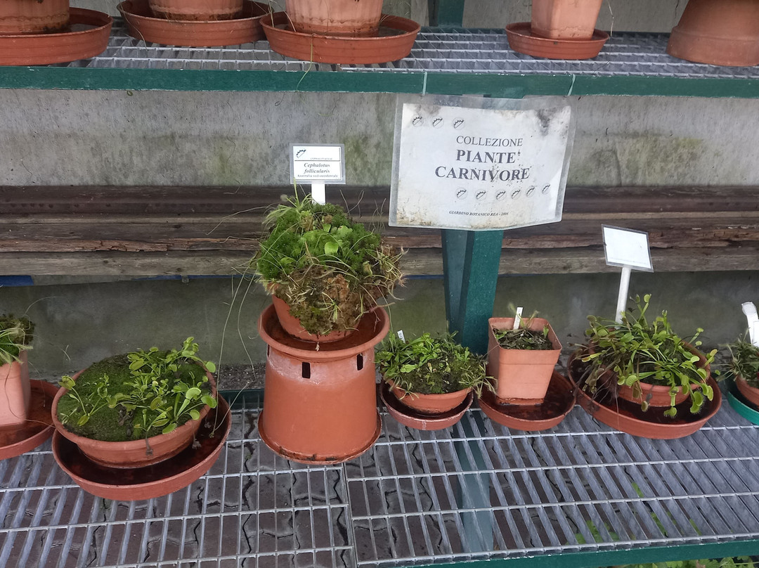 Giardino Botanico Rea-Trana必去景点