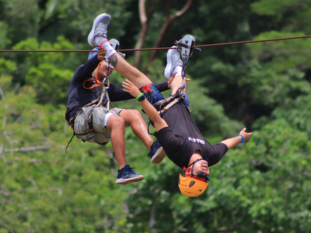Canopy Eco Orbit-Cabo Corrientes必去景点