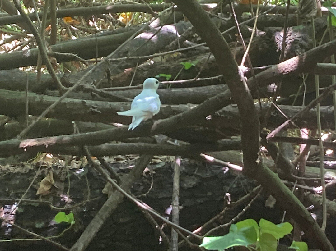 Bishops Cruises-艾图塔基必去景点