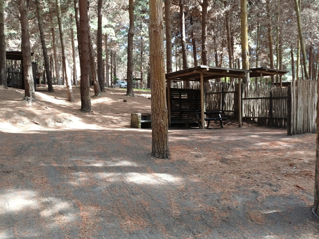 OMZ Olas de Matanzas主图