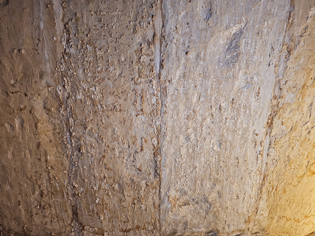 The Burrow Guest House主图