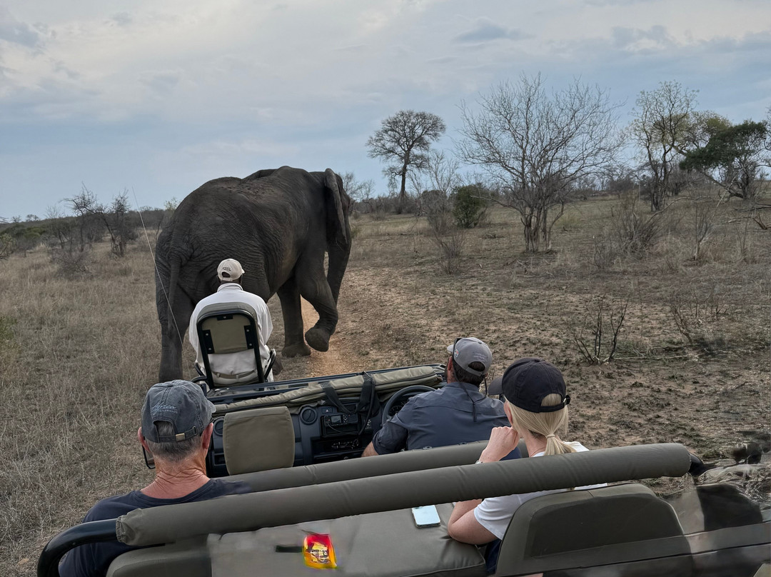 Thabamati Luxury Tented Camp主图