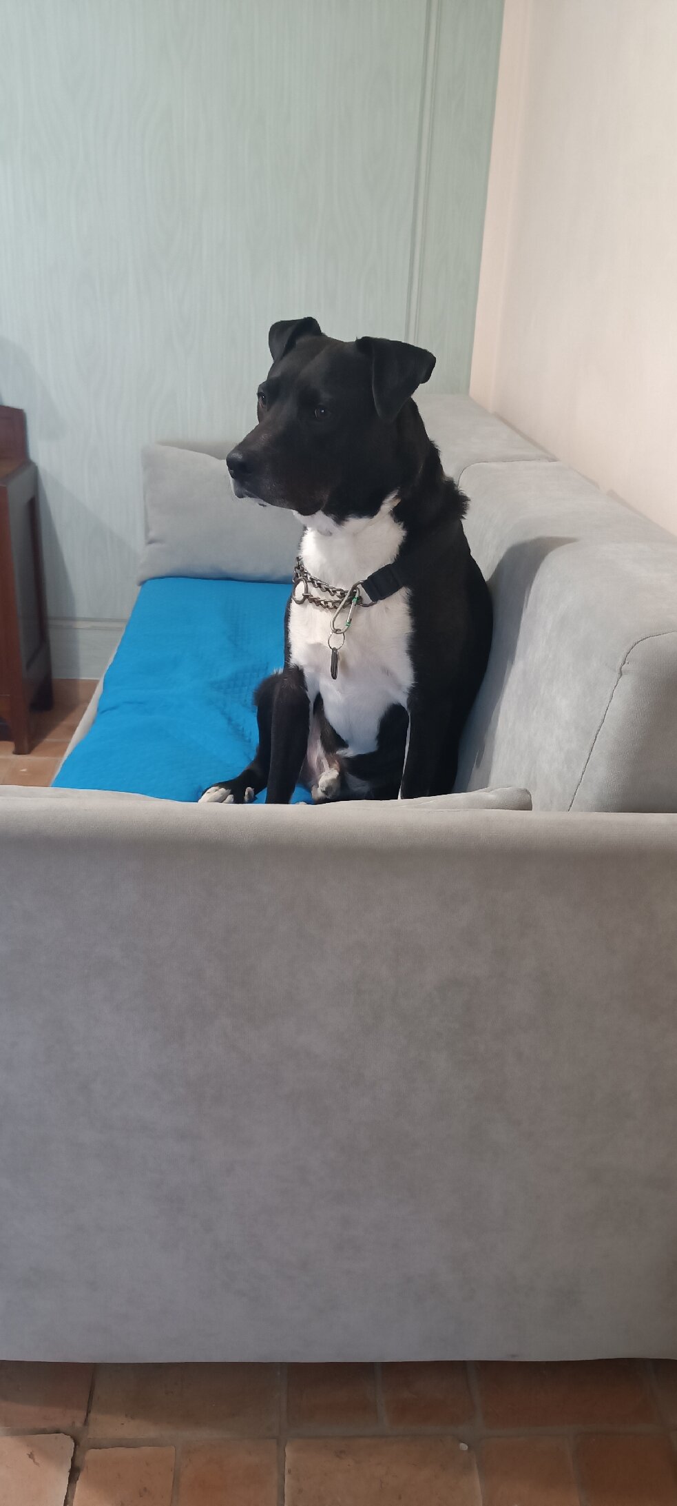 Il Casale San Martino-官方