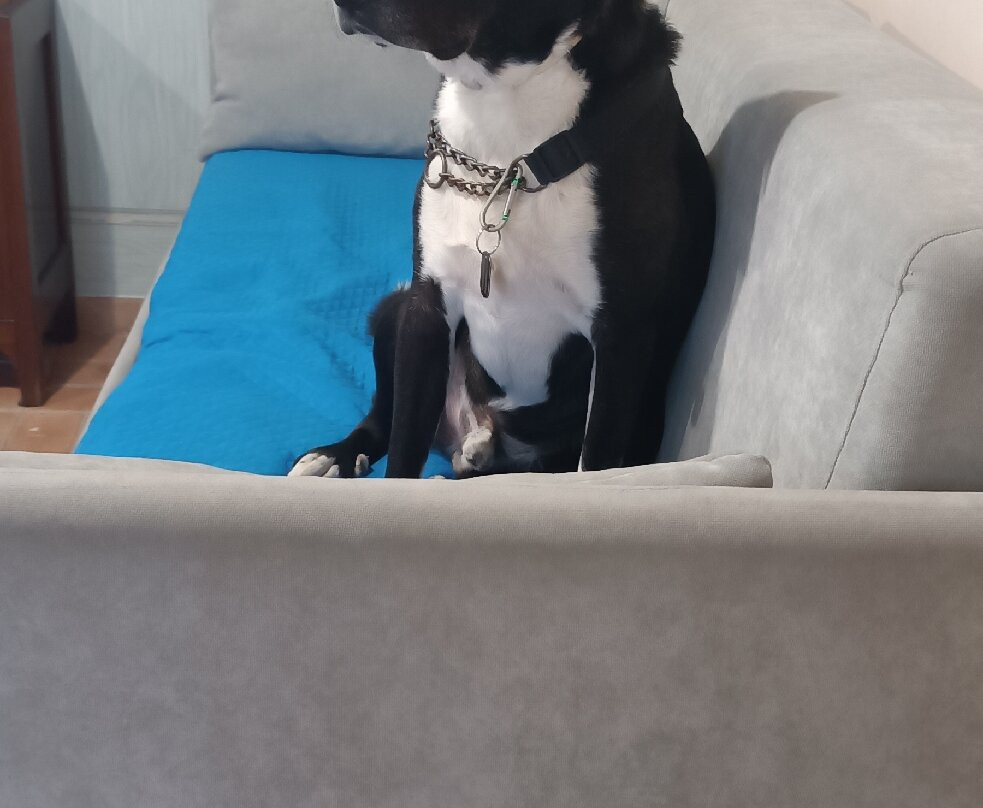 Il Casale San Martino主图