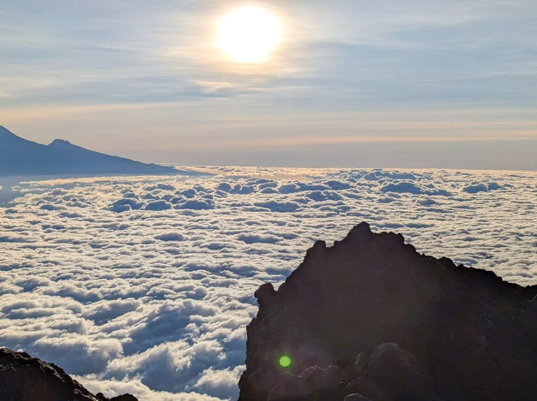 Zara Tanzania Adventures-莫西必去景点