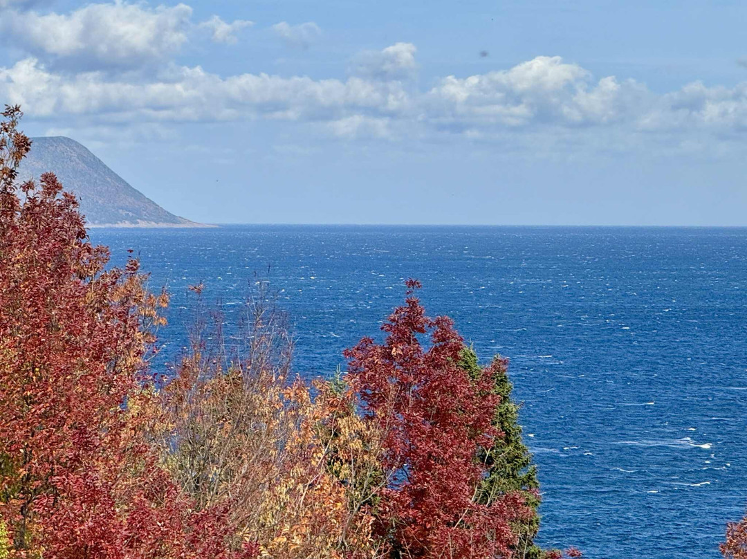 Down East Tours-哈利法克斯必去景点