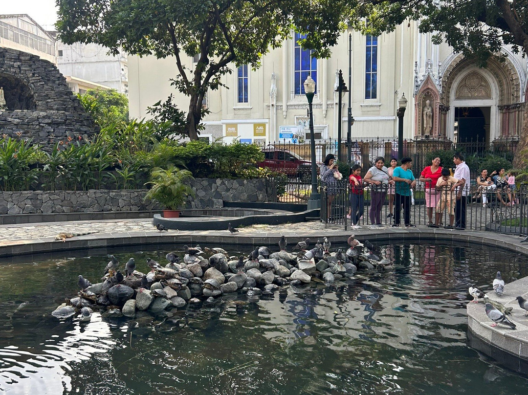 Parque Seminario-瓜亚基尔必去景点