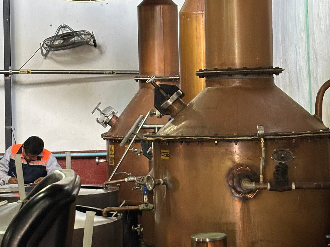 Forteleza-特基拉必去景点