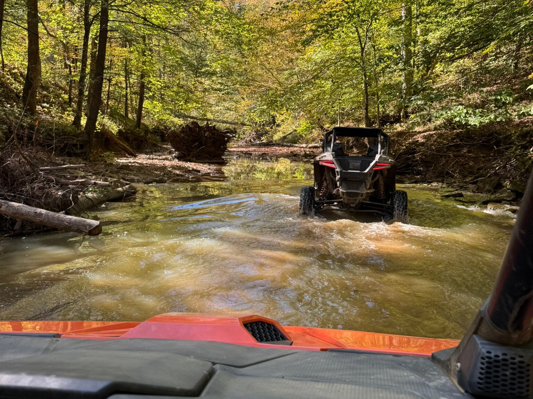 Out the Top Adventures-Campton必去景点