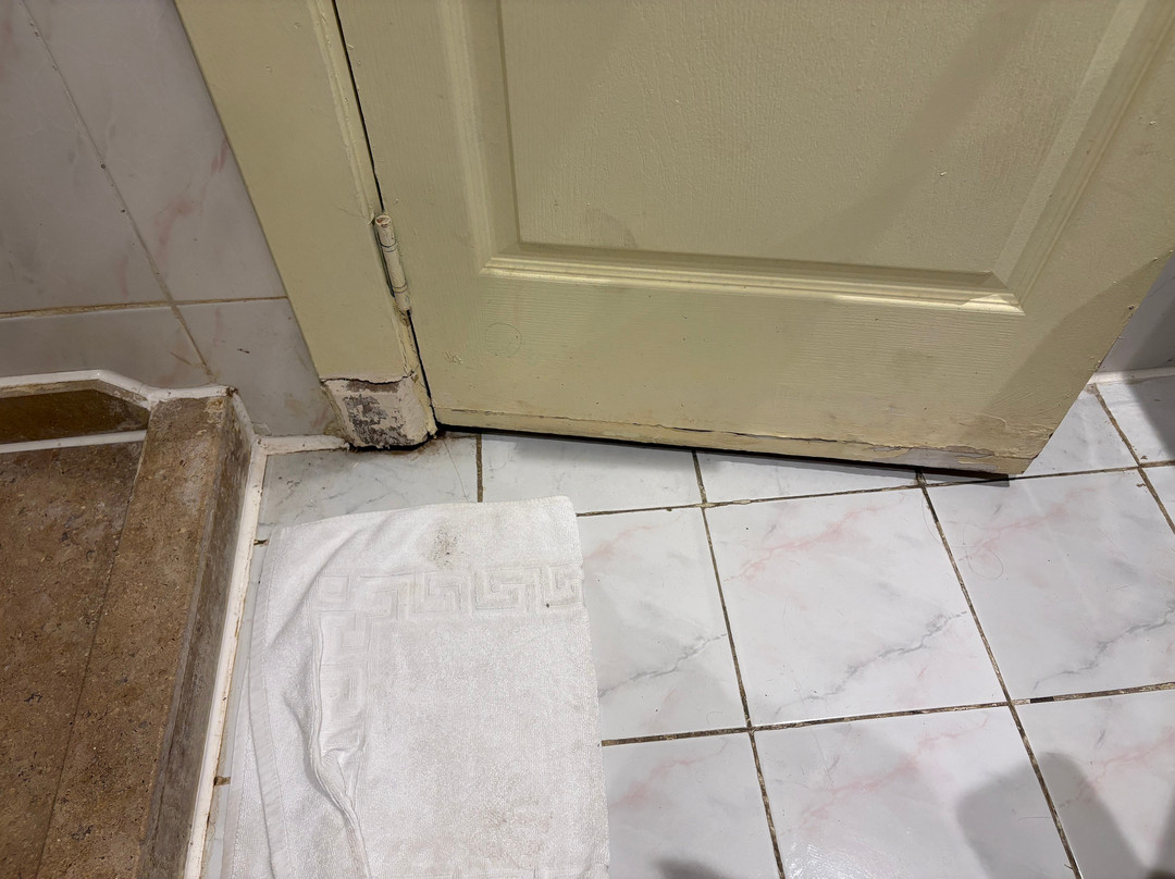 Seven Seas Jolie Bay主图