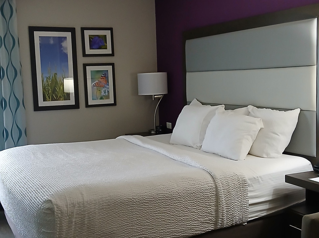 La Quinta Inn & Suites by Wyndham Effingham主图