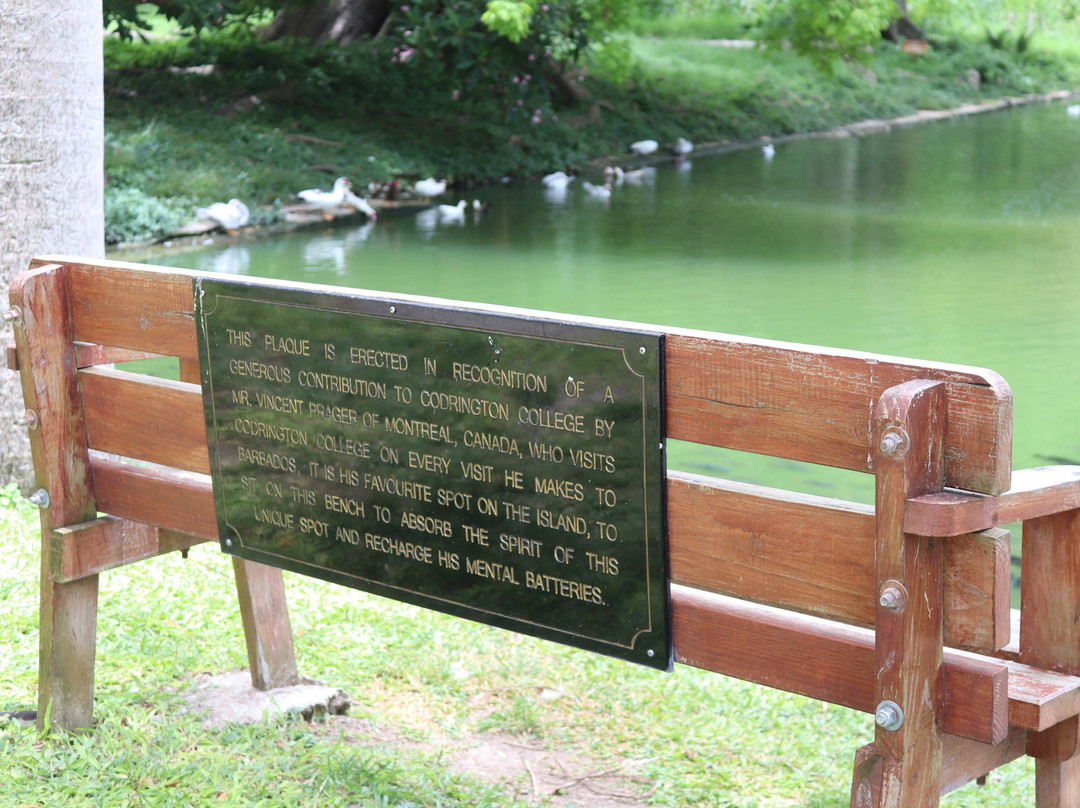 Codrington College-Saint John Parish必去景点