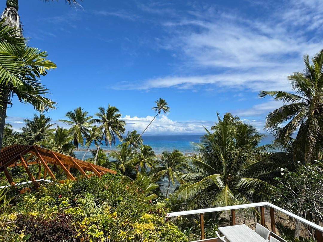 塔妙妮岛棕榈树度假酒店主图