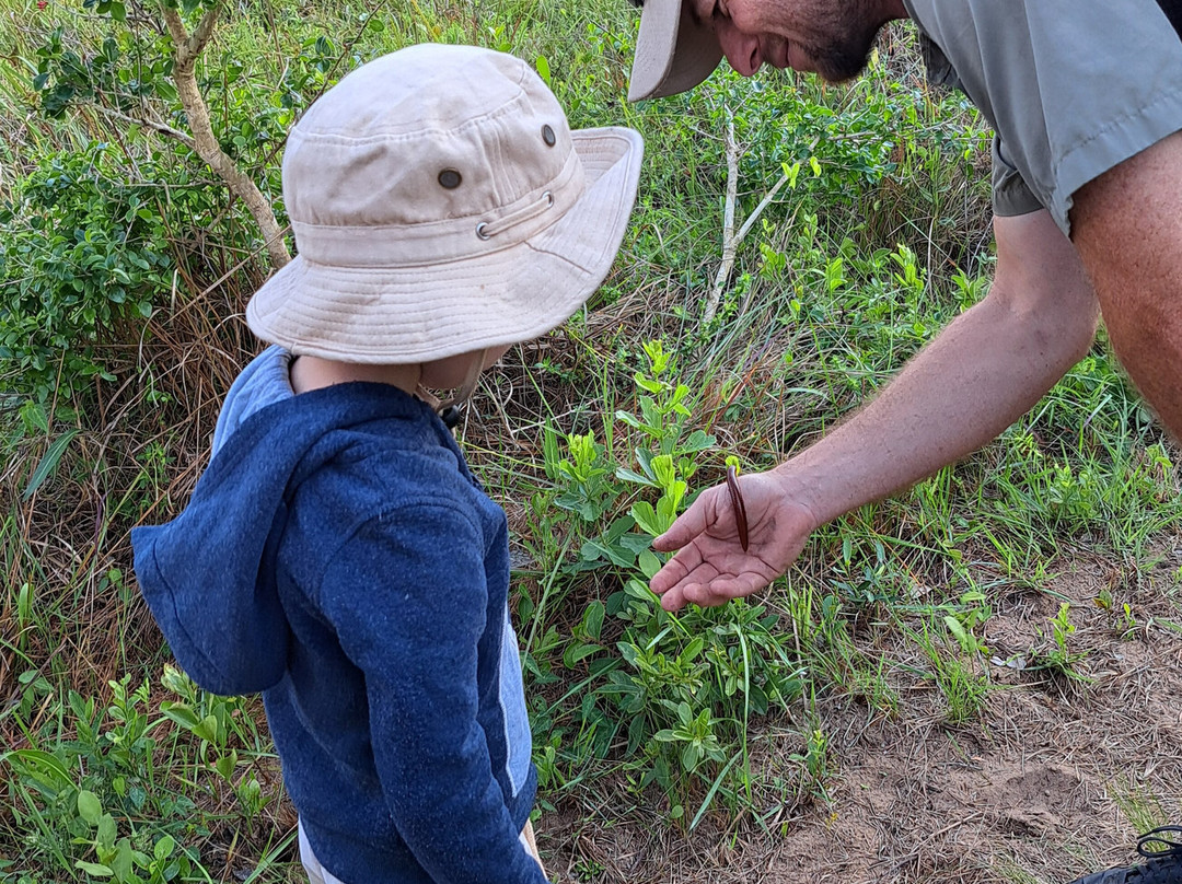 The Little Bush Baby Company-圣露西亚必去景点