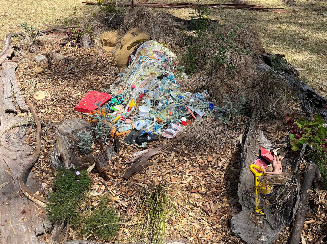 Doug Stirling Walking Track-洛恩必去景点