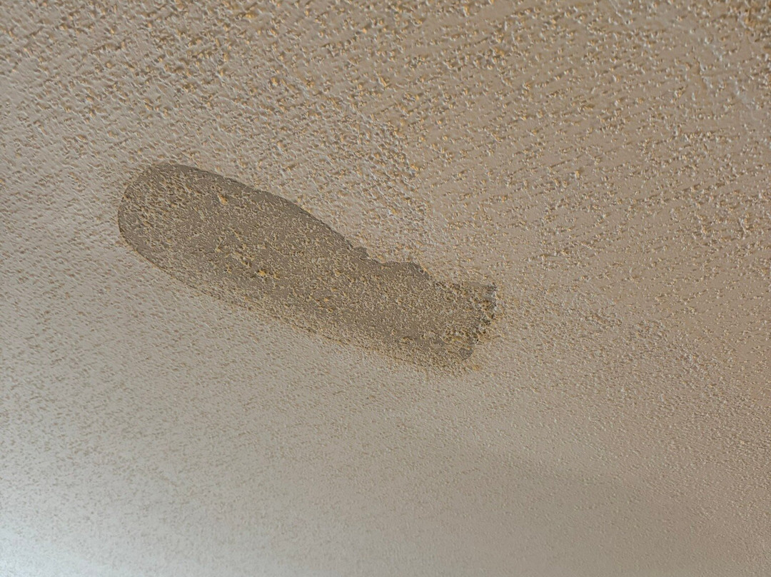 Holiday Inn Express & Suites Lincoln East - White Mountains By IHG主图