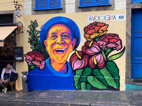 Rio Cultural Secrets Private Tours-里约热内卢必去景点