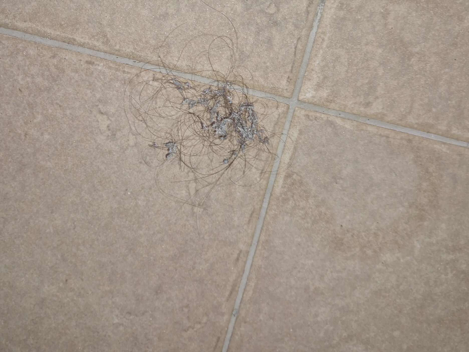 Melia Dunas Beach Resort & Spa-官方