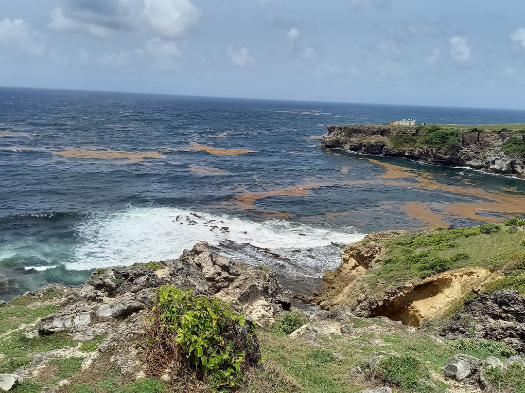 Ragged Point Lighthouse-Saint Philip Parish必去景点