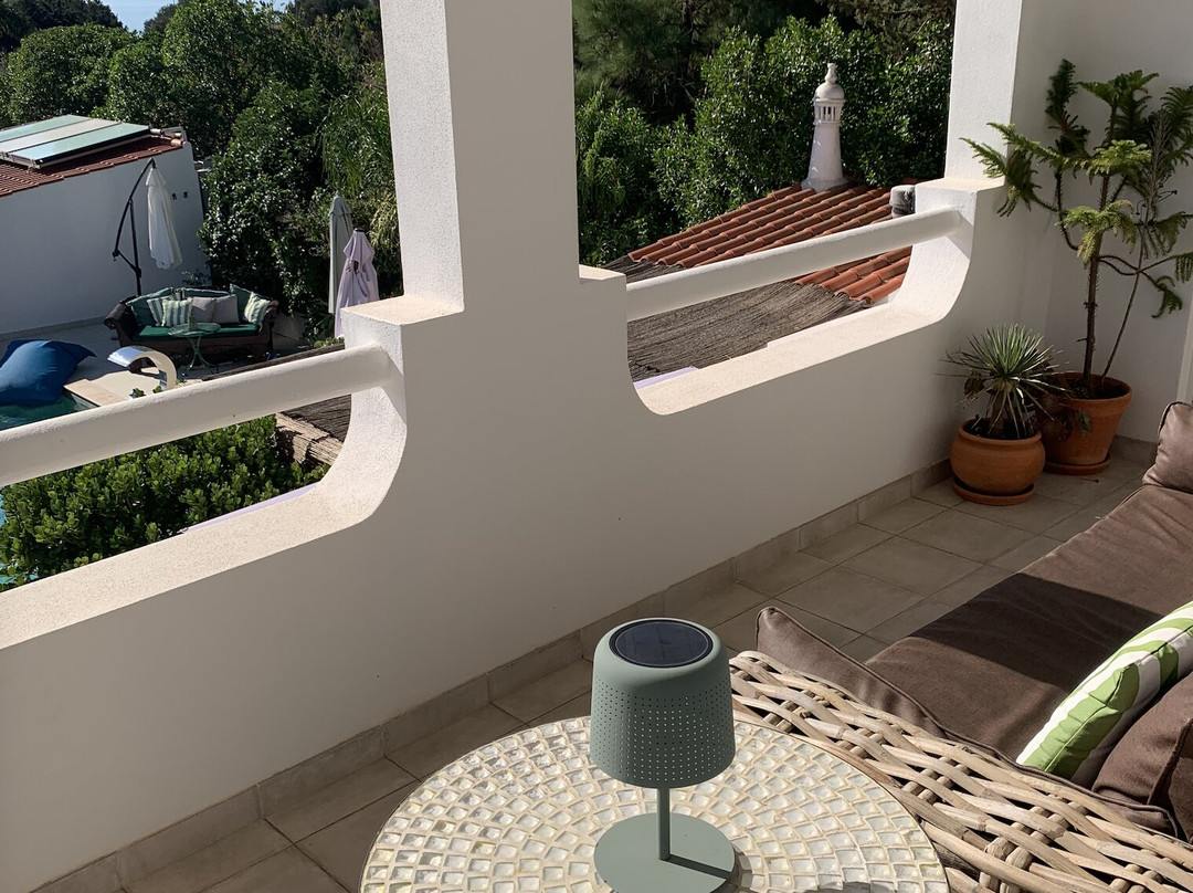 Palm View Guesthouse主图