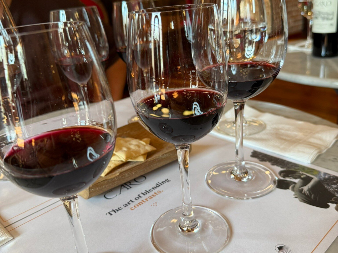 Bodegas CARO-Godoy Cruz必去景点