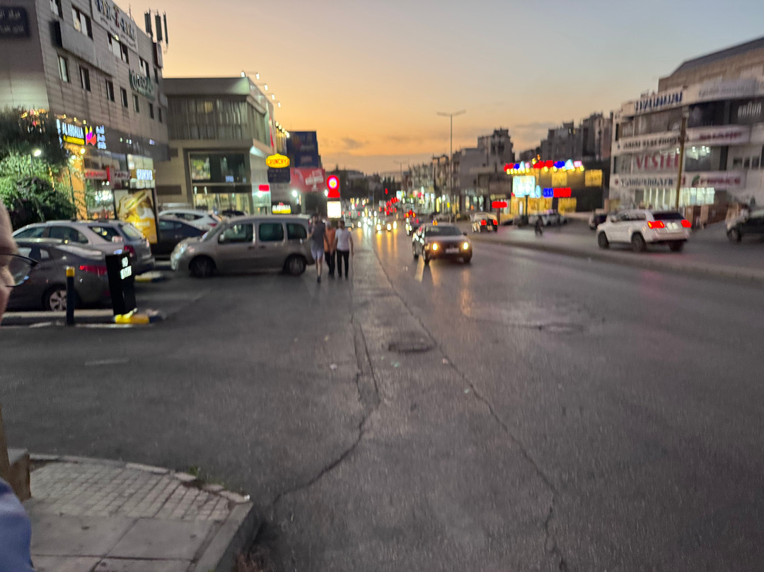 Damask Rose Lebanese Guest House主图