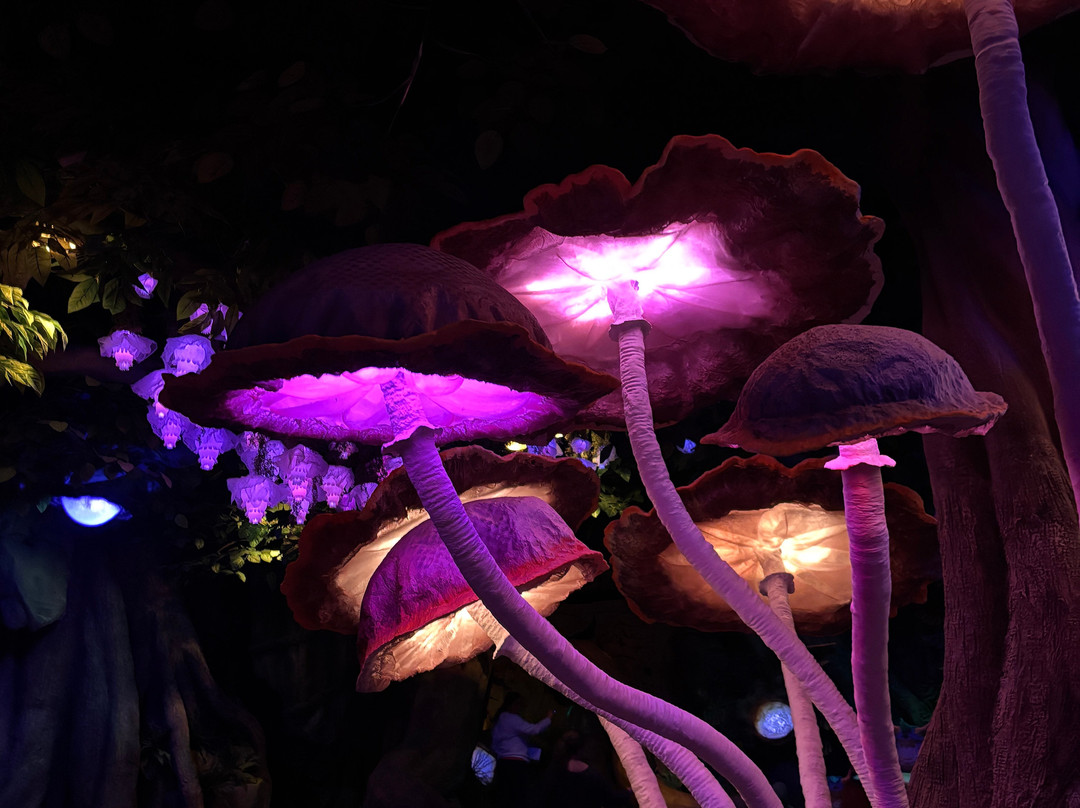 Dreamwalk Park-奥勒姆必去景点