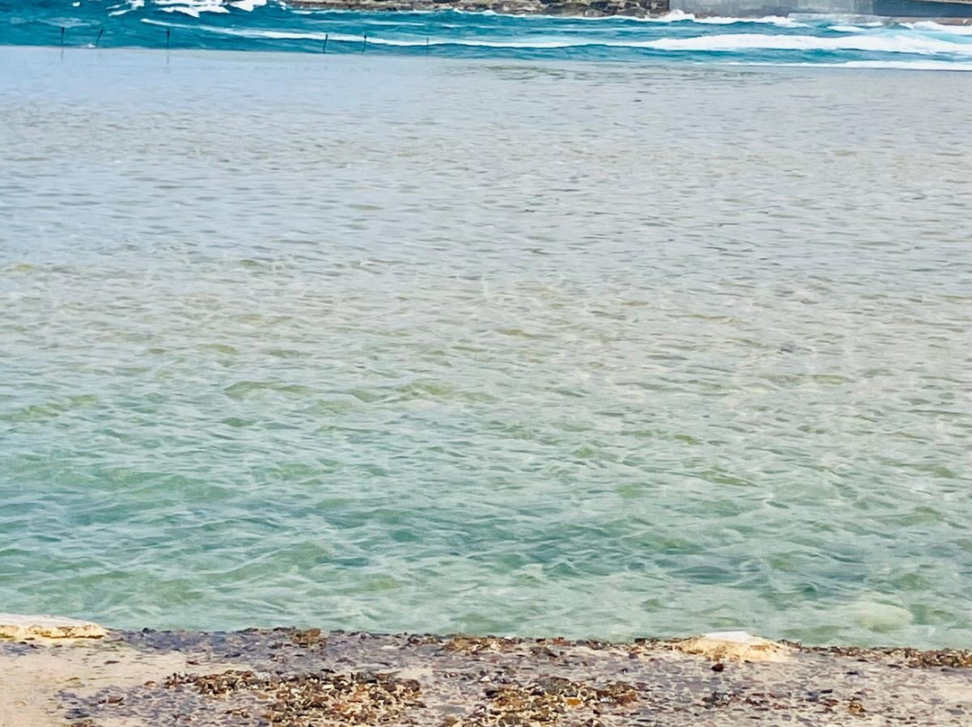 Newcastle Ocean Baths-纽卡斯尔必去景点