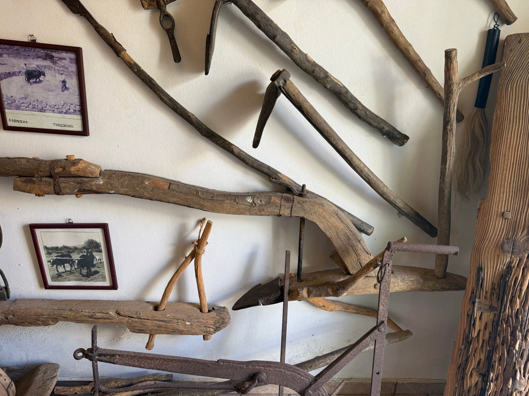 Folk museum of Sitia-Sitia必去景点