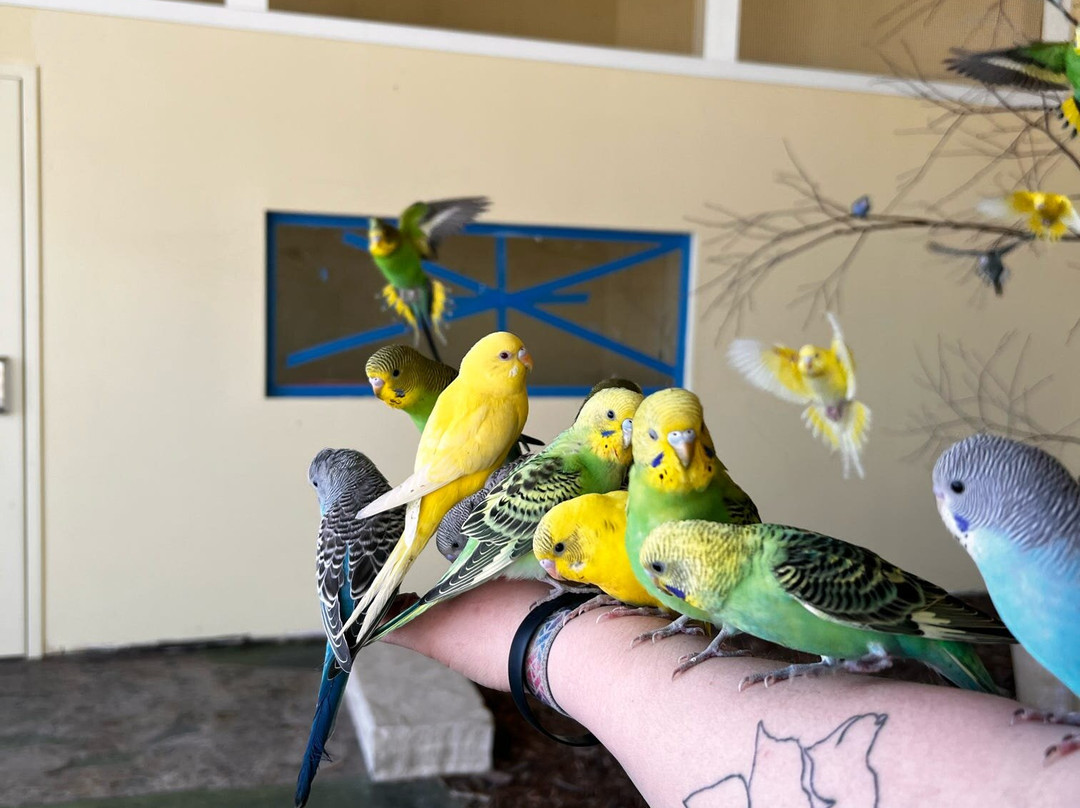 Blue Zoo Aquarium-西得梅因必去景点