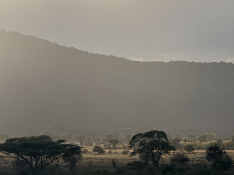 Kway tours and Safari's-桑给巴尔岛必去景点