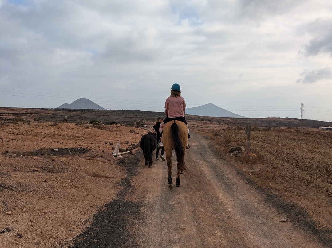 Horses Lanzarote-Teseguite必去景点