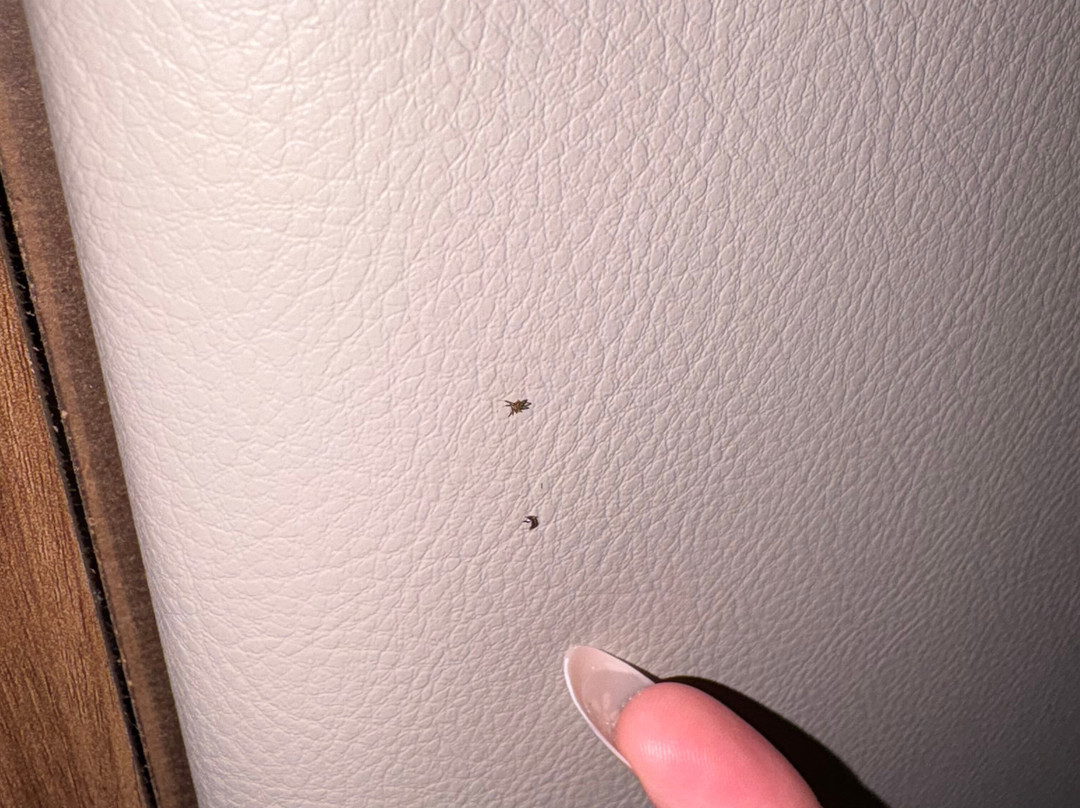 Holiday Inn Express & Suites Schererville By IHG主图