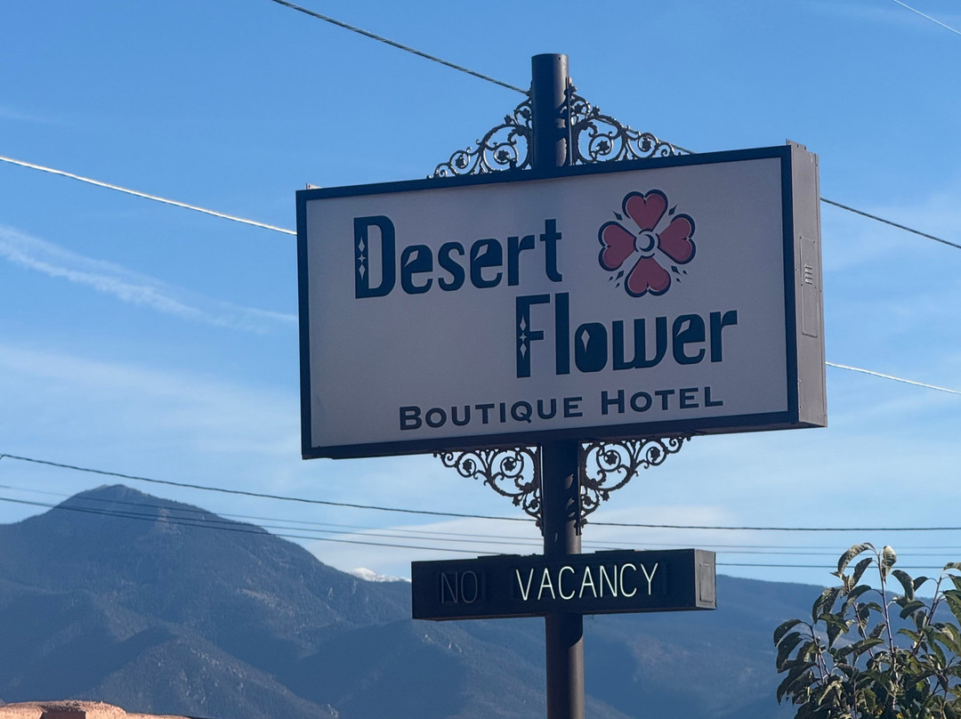 Desert Flower Boutique Hotel主图