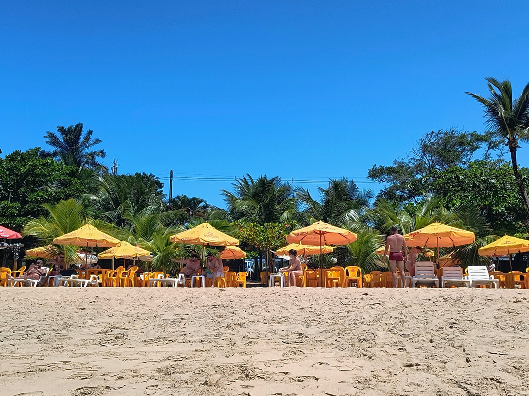 Praia da Concha-Itacare必去景点