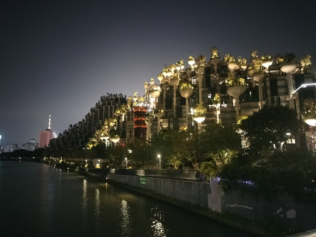 大洋晶典·天安千树