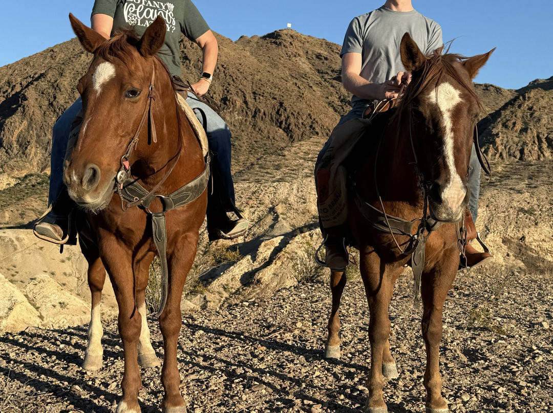Big Bend & Lajitas Stables-Terlingua必去景点