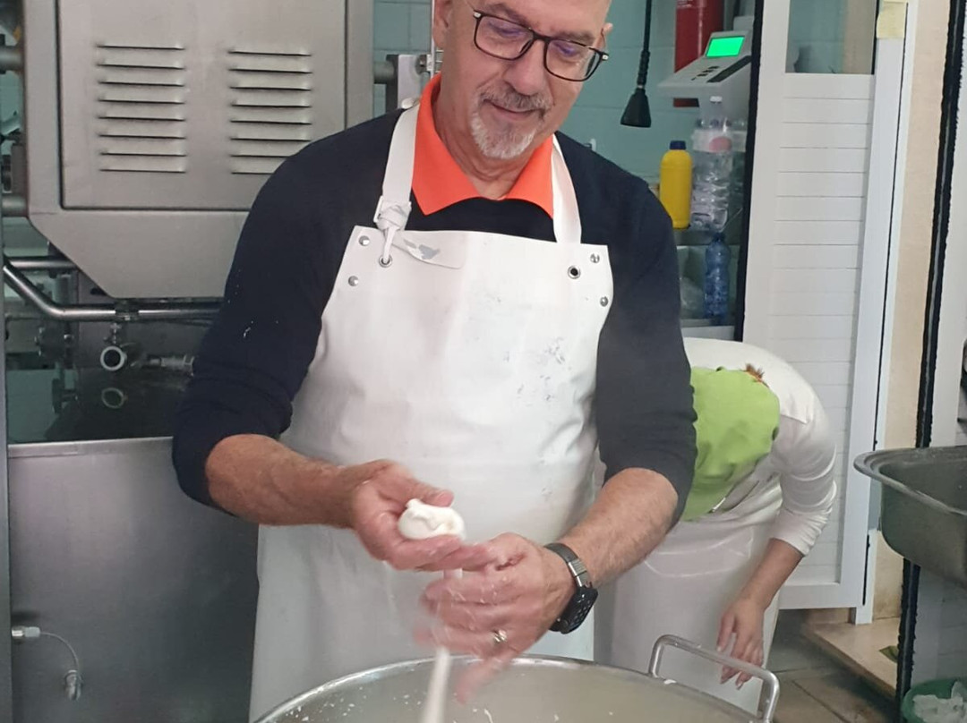 Puglian Pleasures-布林迪西必去景点