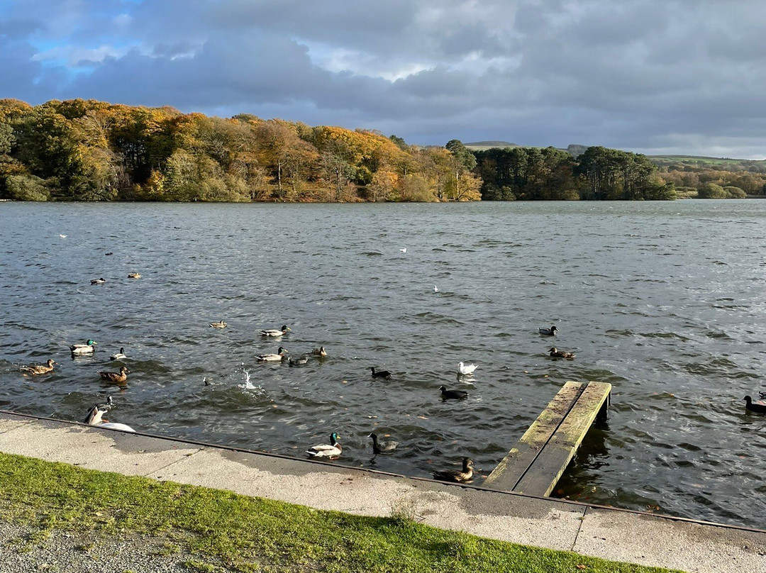 Talkin Tarn Park-卡莱尔必去景点
