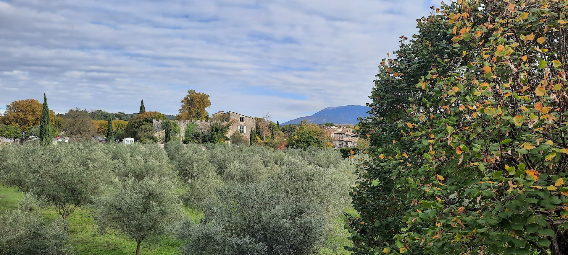 爱丽希尔蒂留斯酒店-客卧