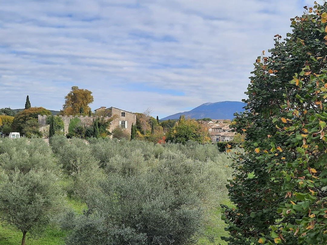 爱丽希尔蒂留斯酒店主图