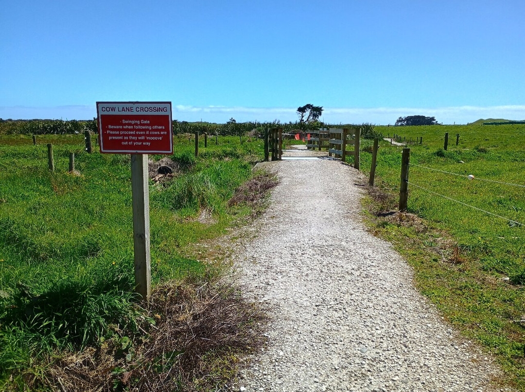 Kawatiri Coastal Trail-韦斯特波特必去景点